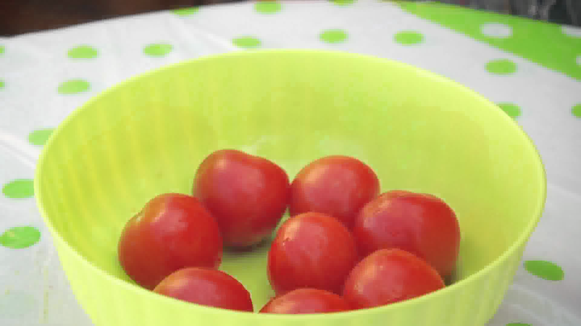 Rajčata